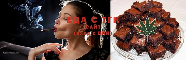 стаф Верея