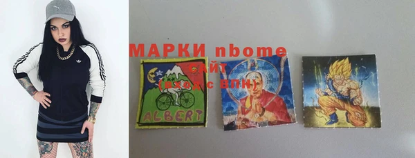 стаф Верея