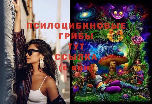 стаф Верея