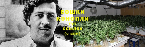 стаф Верея