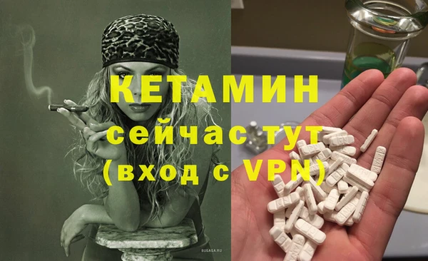 стаф Верея