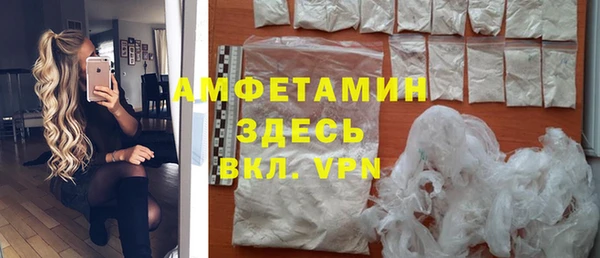стаф Верея