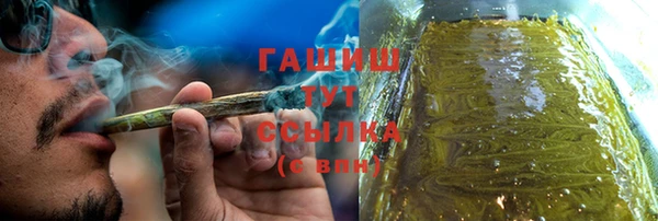 стаф Верея