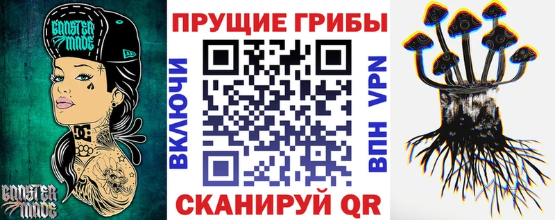 Галлюциногенные грибы Psilocybine cubensis  где найти   Людиново 